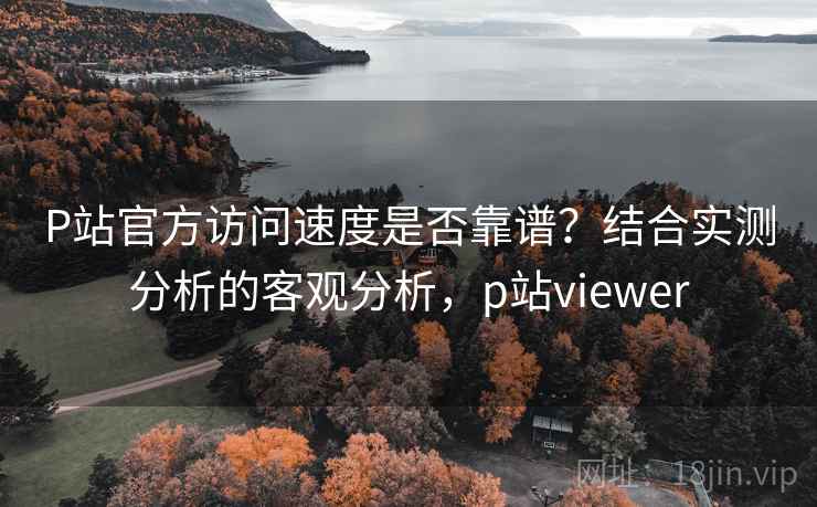 P站官方访问速度是否靠谱？结合实测分析的客观分析，p站viewer  第2张