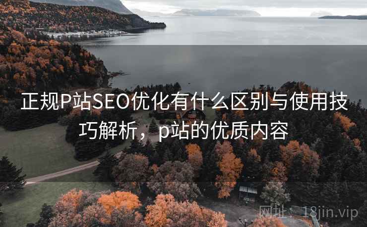 正规P站SEO优化有什么区别与使用技巧解析，p站的优质内容  第1张