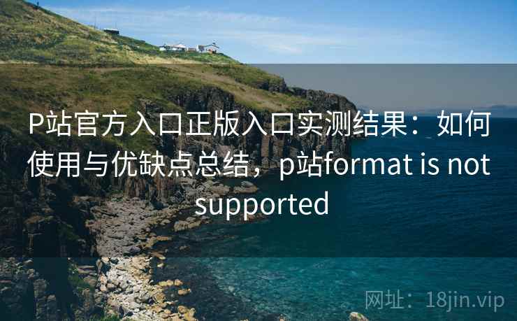 P站官方入口正版入口实测结果：如何使用与优缺点总结，p站format is not supported  第1张