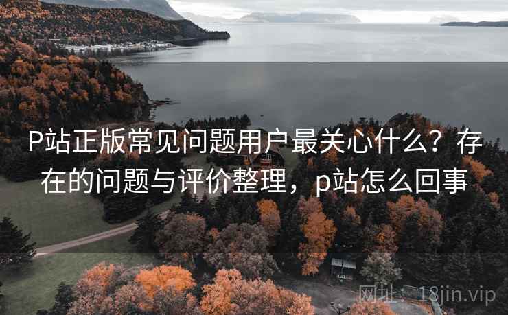P站正版常见问题用户最关心什么？存在的问题与评价整理，p站怎么回事  第2张