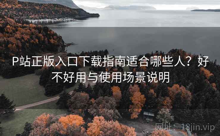 P站正版入口下载指南适合哪些人？好不好用与使用场景说明  第1张