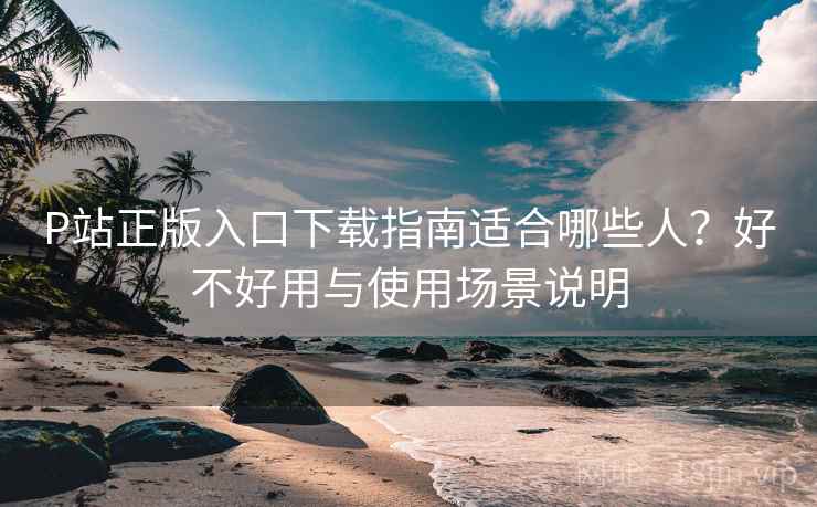 P站正版入口下载指南适合哪些人？好不好用与使用场景说明  第2张