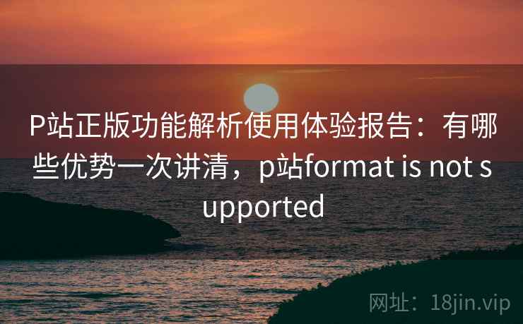 P站正版功能解析使用体验报告：有哪些优势一次讲清，p站format is not supported  第1张