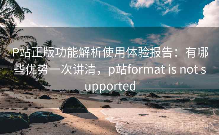P站正版功能解析使用体验报告：有哪些优势一次讲清，p站format is not supported  第2张
