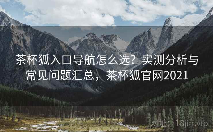 茶杯狐入口导航怎么选?实测分析与常见问题汇总,茶杯狐官网2021 第2张 茶杯狐入口导航怎么选?实测分析与常见问题汇总,茶杯狐官网2021 第2张