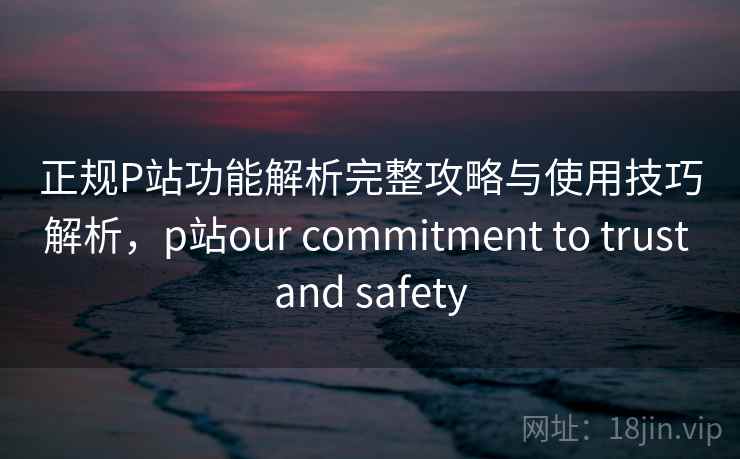 正规P站功能解析完整攻略与使用技巧解析，p站our commitment to trust and safety  第2张