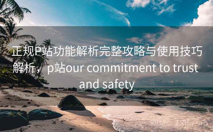 正规P站功能解析完整攻略与使用技巧解析，p站our commitment to trust and safety  第1张