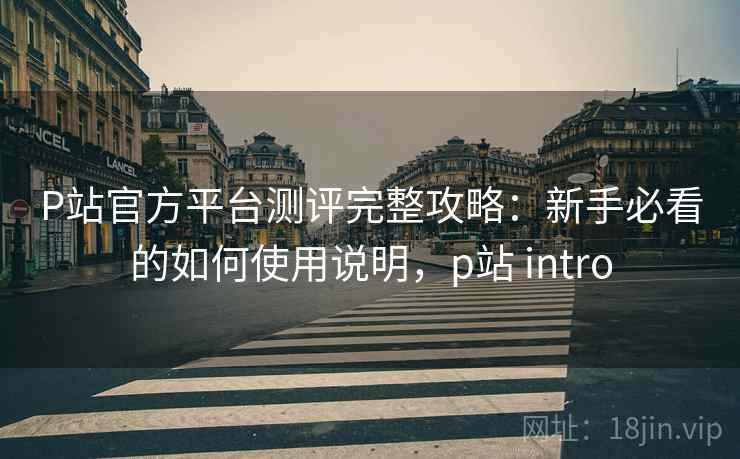 P站官方平台测评完整攻略：新手必看的如何使用说明，p站 intro  第1张