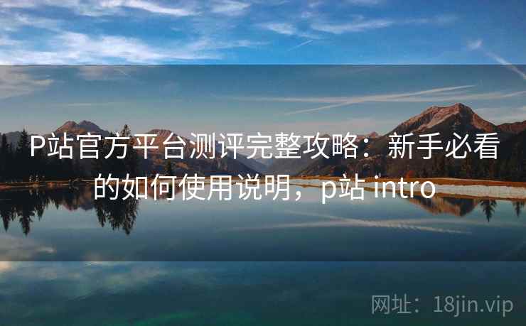 P站官方平台测评完整攻略：新手必看的如何使用说明，p站 intro  第2张