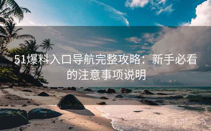 51爆料入口导航完整攻略：新手必看的注意事项说明  第1张