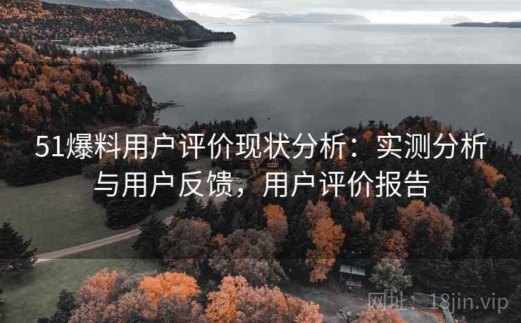 51爆料用户评价现状分析：实测分析与用户反馈，用户评价报告  第1张