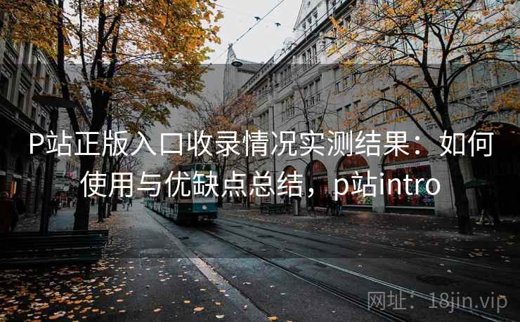 P站正版入口收录情况实测结果：如何使用与优缺点总结，p站intro  第1张