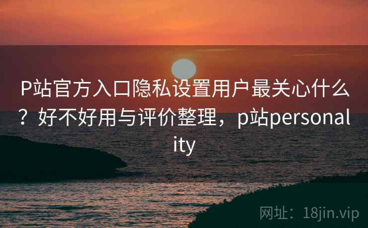 P站官方入口隐私设置用户最关心什么？好不好用与评价整理，p站personality