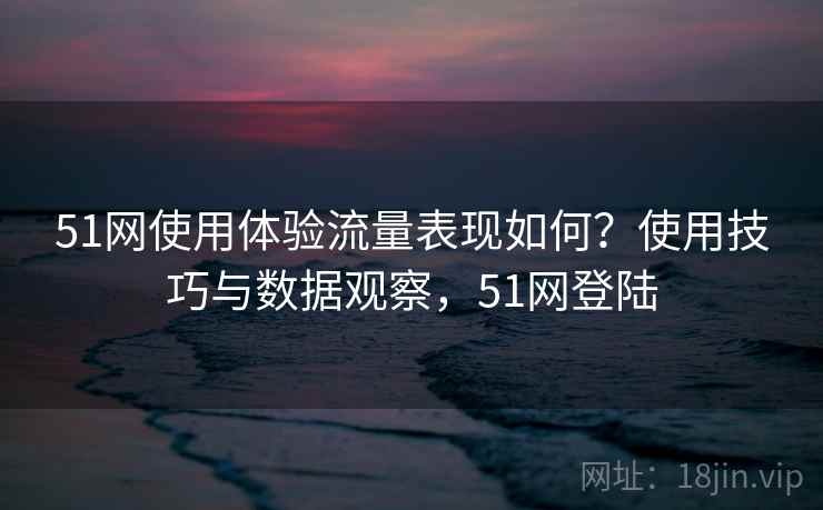51网使用体验流量表现如何?使用技巧与数据观察,51网登陆 第2张 51网使用体验流量表现如何?使用技巧与数据观察,51网登陆 第2张
