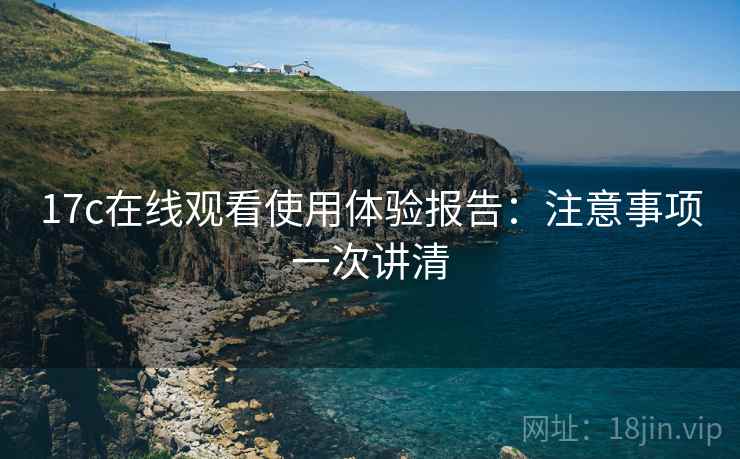 17c在线观看使用体验报告：注意事项一次讲清  第2张