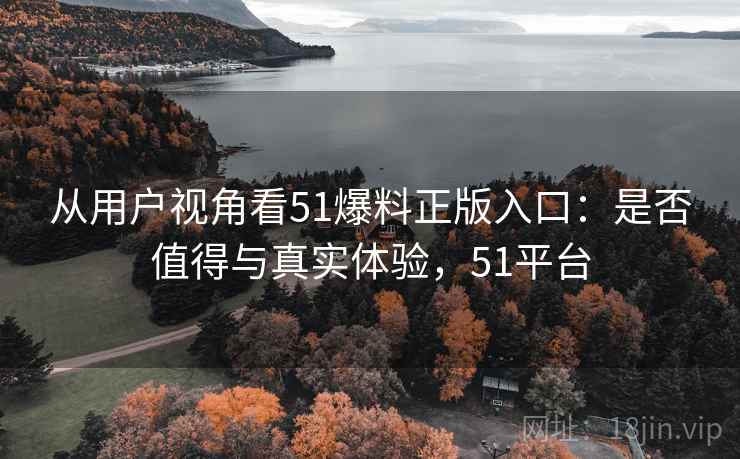 从用户视角看51爆料正版入口：是否值得与真实体验，51平台  第2张