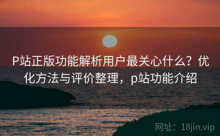 P站正版功能解析用户最关心什么?优化方法与评价整理,p站功能介绍 P站正版功能解析用户最关心什么?优化方法与评价整理,p站功能介绍
