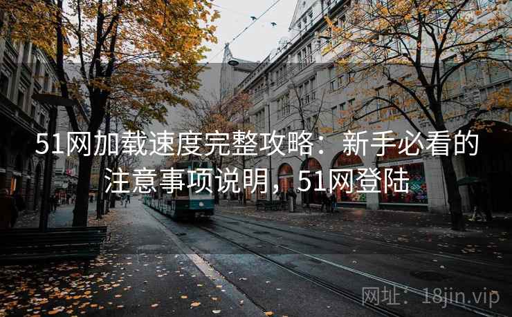 51网加载速度完整攻略:新手必看的注意事项说明,51网登陆 第2张 51网加载速度完整攻略:新手必看的注意事项说明,51网登陆 第2张